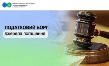 Податковий борг: джерела погашення